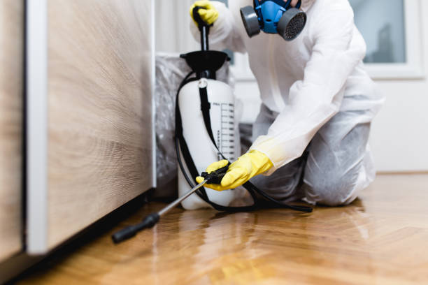 Best Emergency Pest Control  in Pittsville, MD