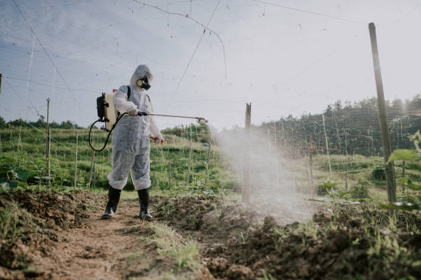 Best Commercial Pest Control Services  in Pittsville, MD