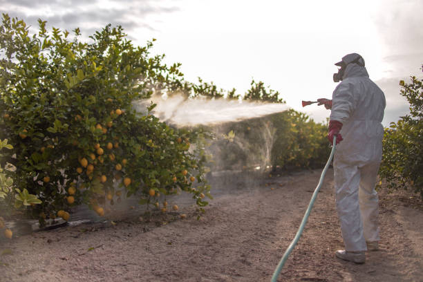 Best Mosquito Control Services  in Pittsville, MD