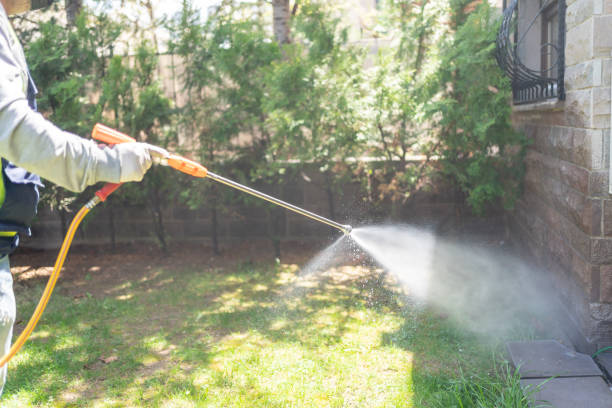Best Affordable Pest Control Services  in Pittsville, MD