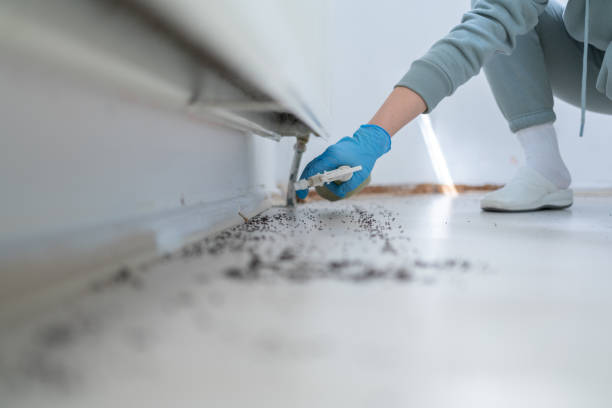 Best Cockroach Control Services  in Pittsville, MD